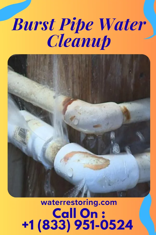 Burst Pipe Water Cleanup in Cooperstown, NY