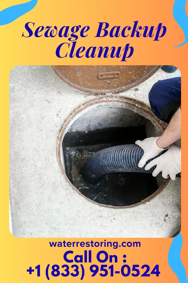 Sewage Backup Cleanup in Cooperstown, NY