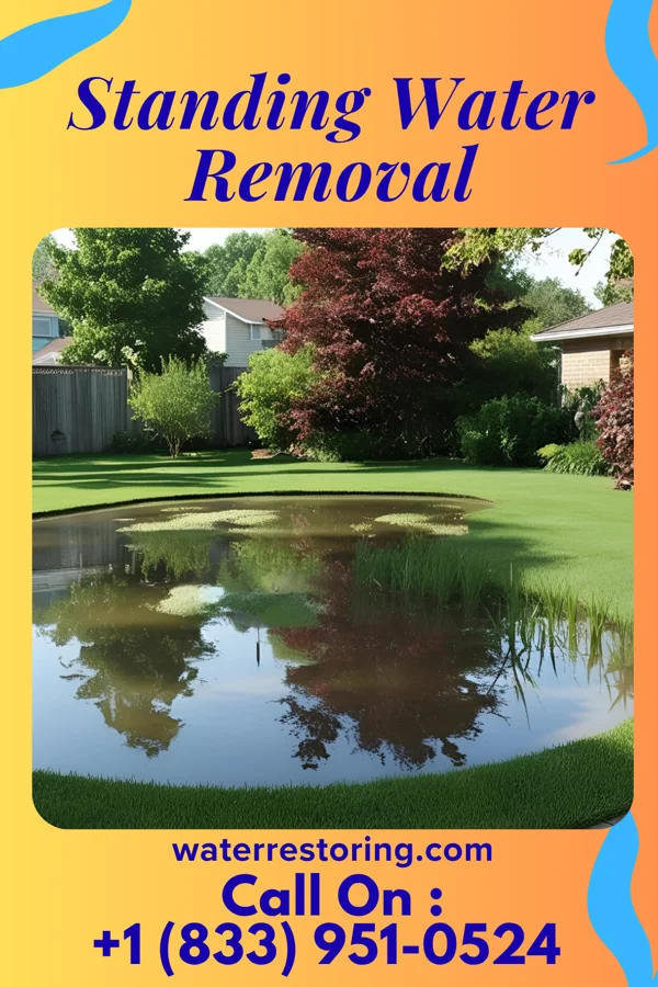 Standing Water Removal in Cooperstown, NY